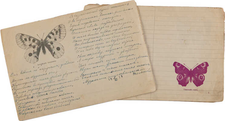 [1917 год. Детская рукописная тетрадь]. Бабочки. Тетрадь для стихов. СПб.: Т-во худ. печ., б. г.